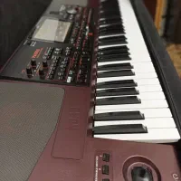 ارگ کرگ PA1000