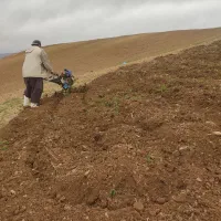 تیلر باغ وزمین