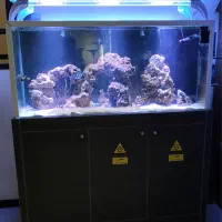 آکواریوم حرفه ای آب شور و شیرین