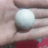 اهواز