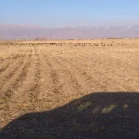 کارگرساده هستم.