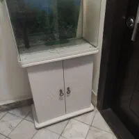 دو عدد آکواریوم