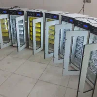 دستگاه جوجه کشی     * از  همـه پرندگــان zinate