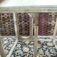 قفس پرنده|لوازم جانبی حیوانات|مشهد, خرمشهر|دیوار