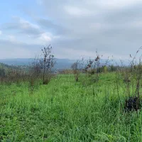 بهشت|فروش زمین و ملک کلنگی|اطاقور, |دیوار