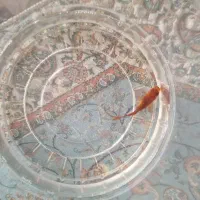 ماهی قرمز اصیل ایرانی