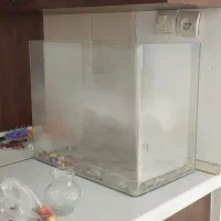 تنگ و اکواریوم