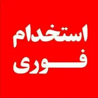 نیازمند فروشنده خانم در فرش فروشی