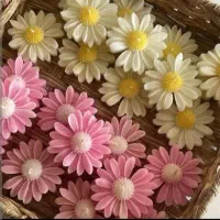 ..بابونه.شمع.
