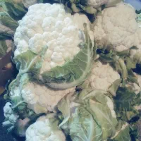 گل کلم درجه ۱ عمده خرده