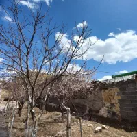 معاوضه-و-فروش-ویلایی-یک-طبقه-و-نیم-75-متری