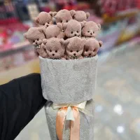 بوکت خرسی تدی ۱۰ عددی|اسباب‌‌بازی|تبریز, |دیوار