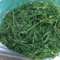 تولید و پخش سبزیجات خشک وتازه و معطر  نیشابور