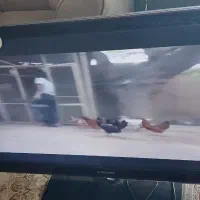 مبلمان|مبلمان خانگی و میز عسلی|ایوان, |دیوار