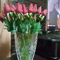 ظروف پذیرایی