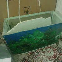 اکواریوم