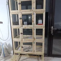 قفس پرنده