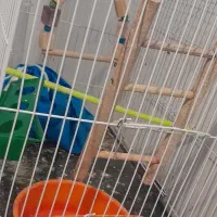 قفس پرنده
