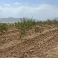 نگهبان ۲۴ ساعته