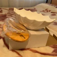 ظروف پذیرایی