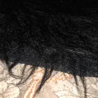 فرشینه و دم فرشی