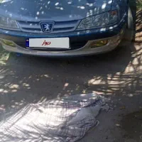 سلام پژوپارس تمیز دوگانه دستی سی آن جی