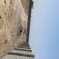 زمین فروشی میامی|فروش زمین و ملک کلنگی|رضویه, |دیوار