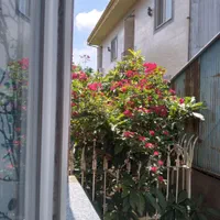 آپارتمان ۲خوابه ۱خوابه سوئیت..|اجارهٔ کوتاه‌مدت آپارتمان و سوئیت|رشت, دیلمان|دیوار