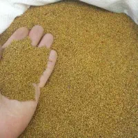 بذریونجه