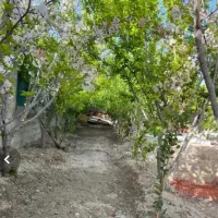 زمین-کشاورزی