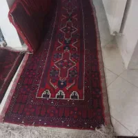 قالی فرش دستباف|فرش|گلبهار, شهر جدید گلبهار|دیوار