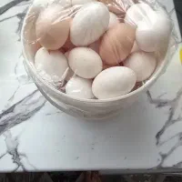 تخم مرغ خانگی بومی|خوردنی و آشامیدنی|حبیب آباد, |دیوار