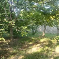 باغ 650 متری|فروش دفتر صنعتی، کشاورزی، تجاری|شبستر, |دیوار