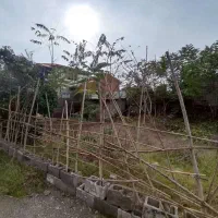 زمین مسکونی منطقه آزاد ضلع شمالی  دو قدمی دریا