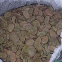 باقله|خوردنی و آشامیدنی|بیستون, |دیوار