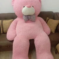 خرس 2متری خارجی