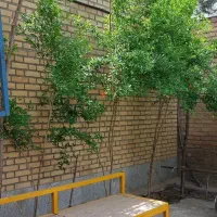 شرکت کالای روشنایی پاسوآ|استخدام صنعتی، فنی، مهندسی|کهریزک, |دیوار