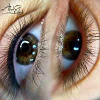 آرایش دائم ابرو رژ بن مژه|خدمات آرایشگری و زیبایی|مشهد, جانباز|دیوار