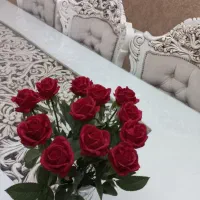 گل رز وارداتی|گل مصنوعی|اندیشه, شهرک صدف|دیوار