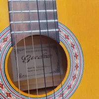 گیتار گود من