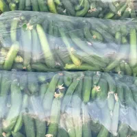 بادمجان9.فلفل15 خیار 21هشت خط30ماهی