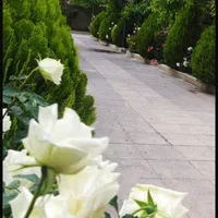 اجاره روزانه باغ ویلا جاده صدرا|اجارهٔ کوتاه‌مدت ویلا و باغ|شیراز, شهرک گلستان|دیوار