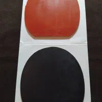 رویه راکت پینگ پنگ ژیوم ودستو