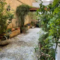 100متر-کلنگی-زعفرانیه-لوکیشن-کاخ-سعد-اباد