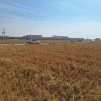 زمین کشاورزی|فروش دفتر صنعتی، کشاورزی، تجاری|درودزن, |دیوار