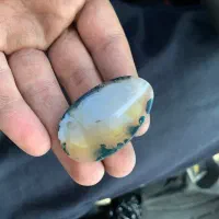 سنگ عقیق شجر استثنایی