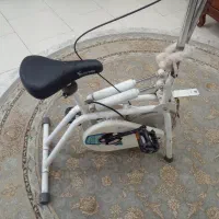 دوچرخه ثابت