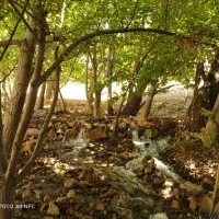 اجاره باغ گردشگری