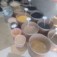 سطل جا حبوباتی
