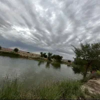 کارگر پرورش ماهی